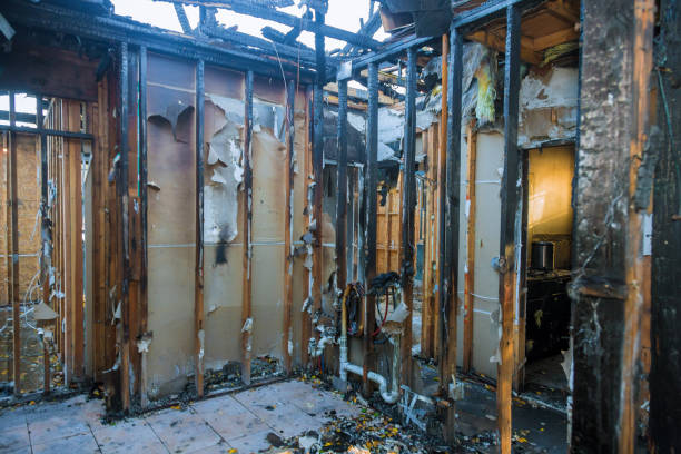 Professional Fire Damage Removal technician working in Due West, SC